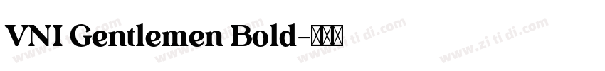 VNI Gentlemen Bold字体转换